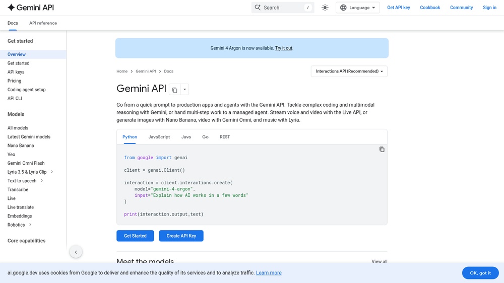Google Gemini API