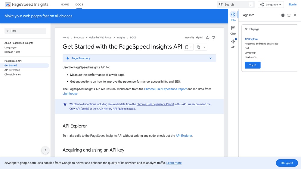 Google PageSpeed Insights API