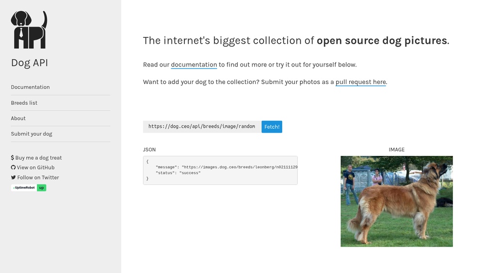 Dog CEO Dog API